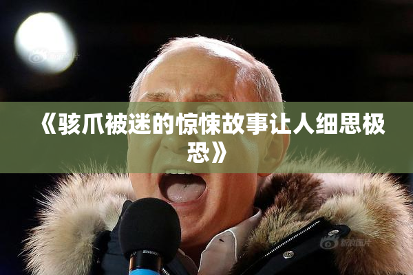《骇爪被迷的惊悚故事让人细思极恐》