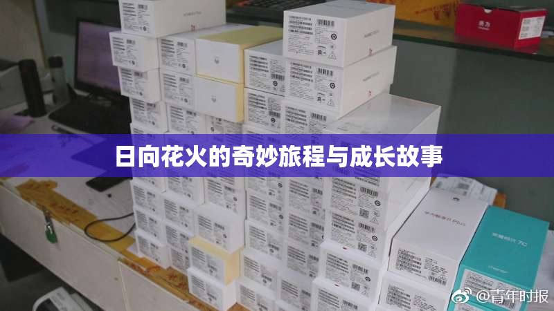 日向花火的奇妙旅程与成长故事