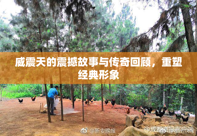 威震天的震撼故事与传奇回顾，重塑经典形象