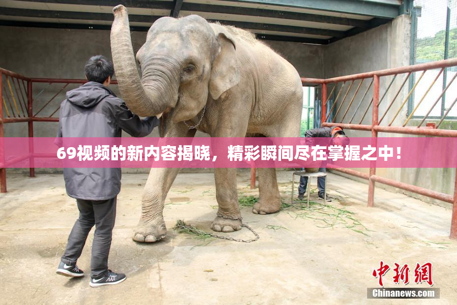 69视频的新内容揭晓，精彩瞬间尽在掌握之中！