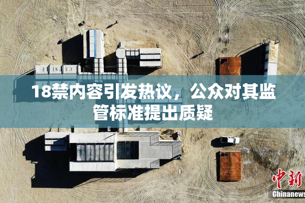 18禁内容引发热议，公众对其监管标准提出质疑