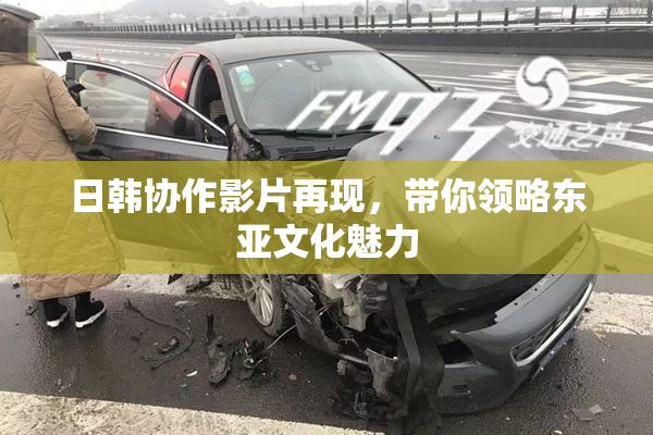 日韩协作影片再现，带你领略东亚文化魅力