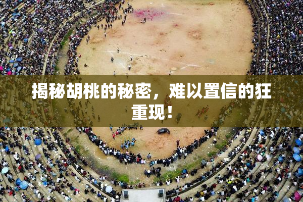 揭秘胡桃的秘密，难以置信的狂重现！