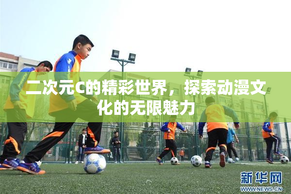 二次元C的精彩世界，探索动漫文化的无限魅力