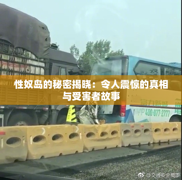 性奴岛的秘密揭晓：令人震惊的真相与受害者故事