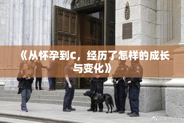 《从怀孕到C，经历了怎样的成长与变化》