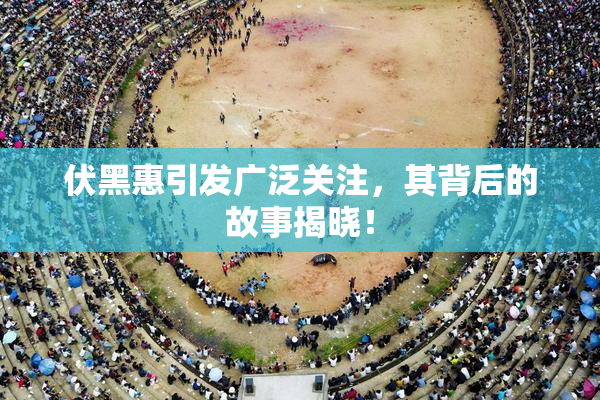 伏黑惠引发广泛关注，其背后的故事揭晓！