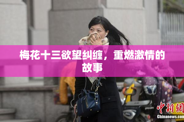 梅花十三欲望纠缠，重燃激情的故事