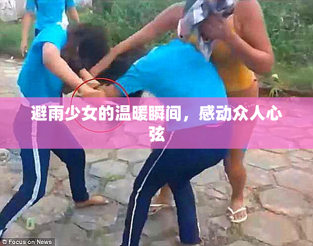 避雨少女的温暖瞬间，感动众人心弦