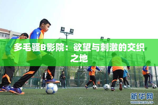 多毛骚B影院：欲望与刺激的交织之地