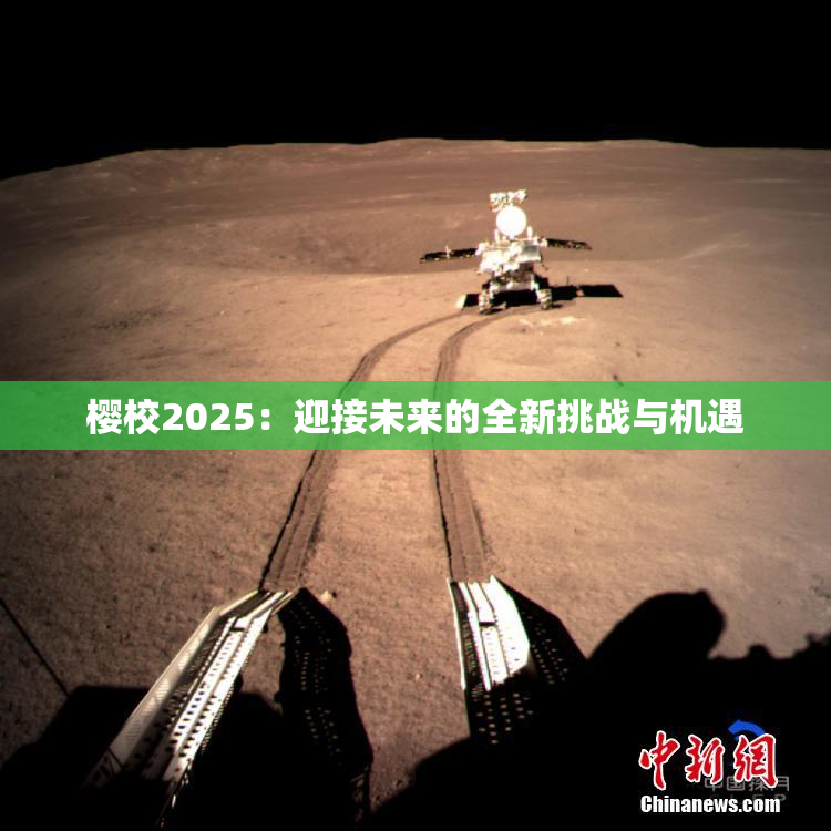 樱校2025：迎接未来的全新挑战与机遇
