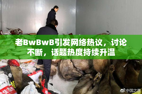 老BwBwB引发网络热议，讨论不断，话题热度持续升温