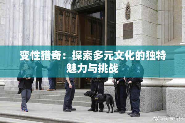 变性猎奇：探索多元文化的独特魅力与挑战