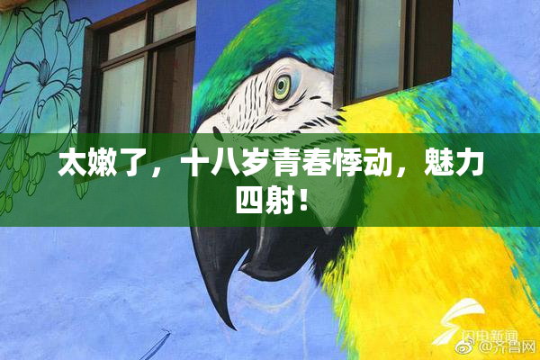 太嫩了，十八岁青春悸动，魅力四射！