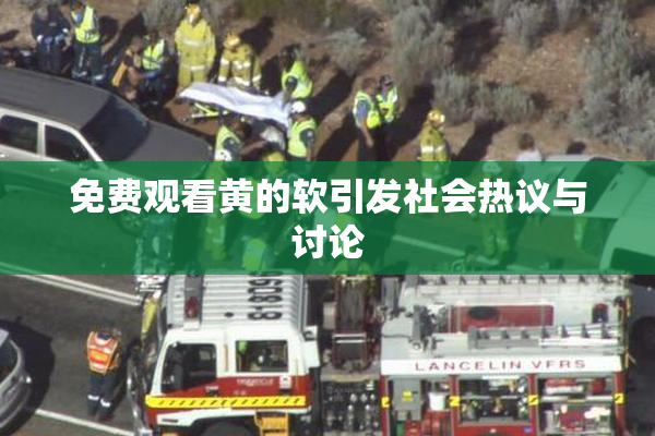 免费观看黄的软引发社会热议与讨论
