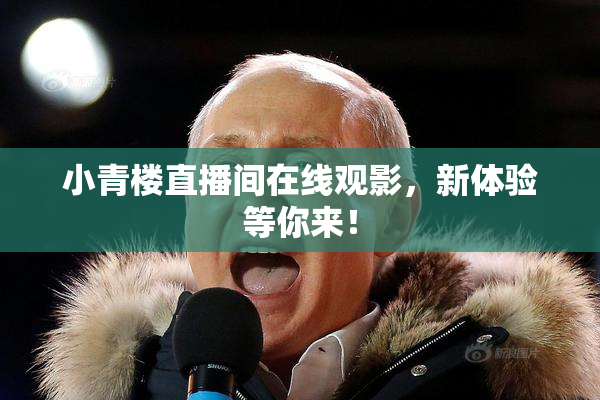 小青楼直播间在线观影，新体验等你来！