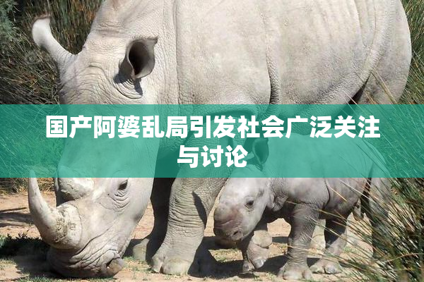 国产阿婆乱局引发社会广泛关注与讨论