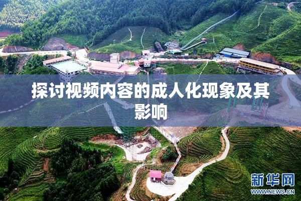 探讨视频内容的成人化现象及其影响