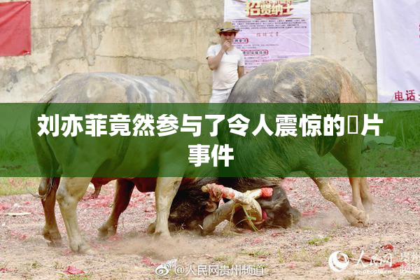 刘亦菲竟然参与了令人震惊的婬片事件