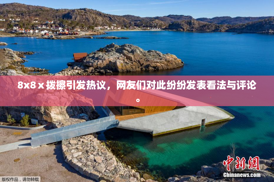 8x8ⅹ拨擦引发热议，网友们对此纷纷发表看法与评论。