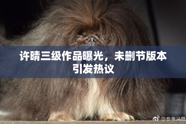 许晴三级作品曝光，未删节版本引发热议