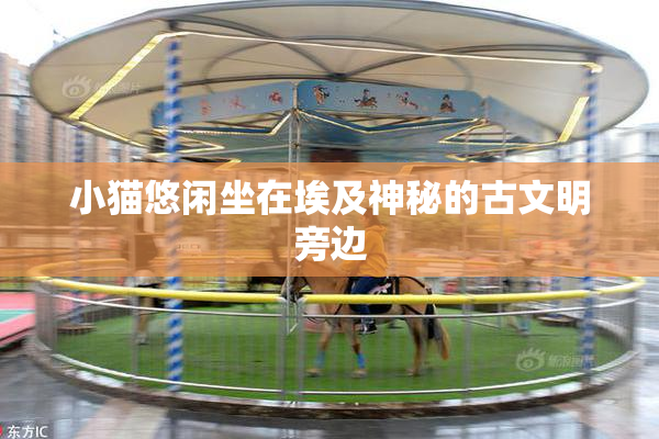 小猫悠闲坐在埃及神秘的古文明旁边