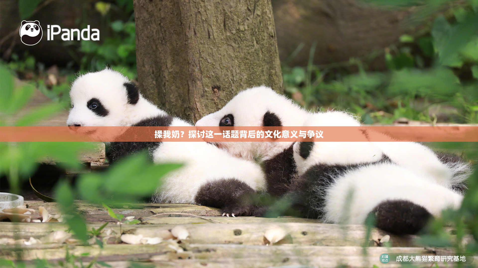 揉我奶？探讨这一话题背后的文化意义与争议