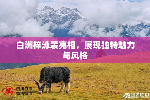 白洲梓泳装亮相，展现独特魅力与风格