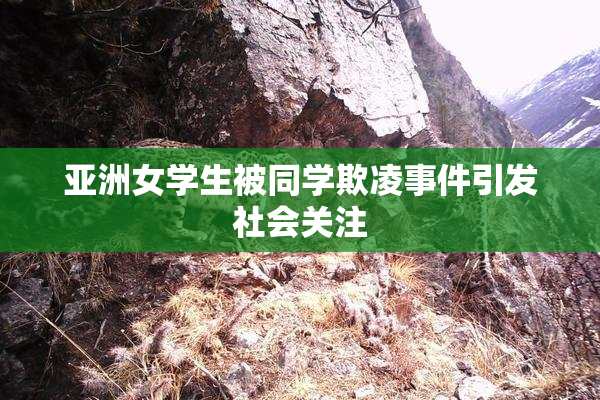 亚洲女学生被同学欺凌事件引发社会关注