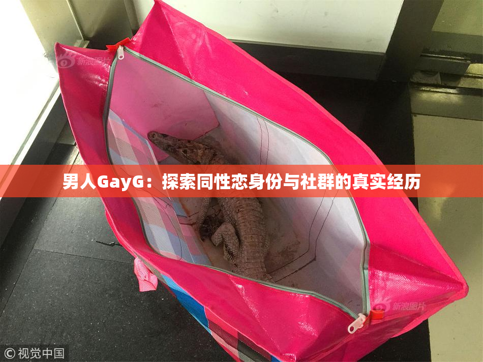 男人GayG：探索同性恋身份与社群的真实经历
