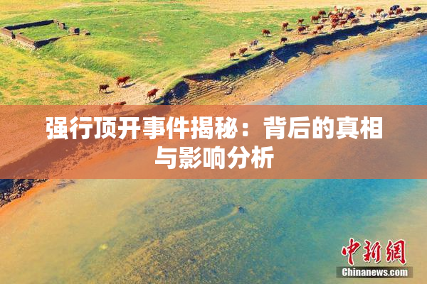 强行顶开事件揭秘：背后的真相与影响分析