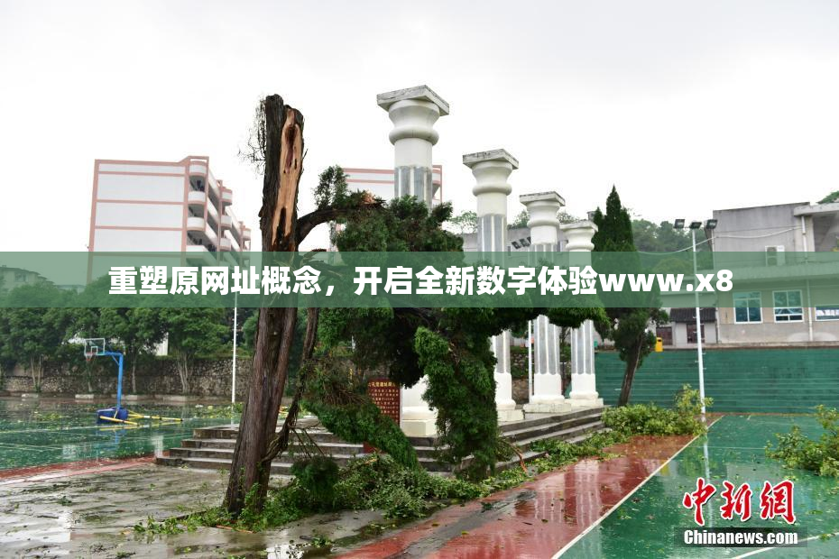 重塑原网址概念，开启全新数字体验www.x8