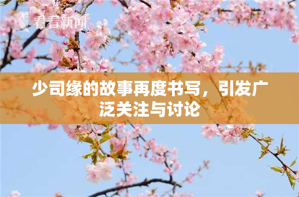 少司缘的故事再度书写，引发广泛关注与讨论