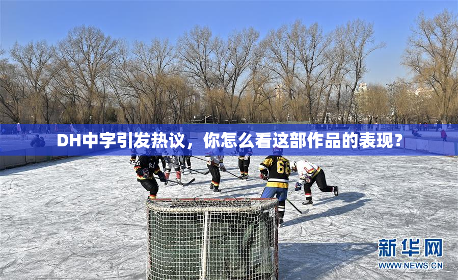 DH中字引发热议，你怎么看这部作品的表现？