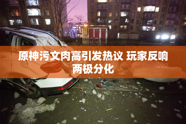 原神污文肉高引发热议 玩家反响两极分化