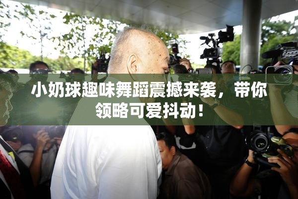 小奶球趣味舞蹈震撼来袭，带你领略可爱抖动！