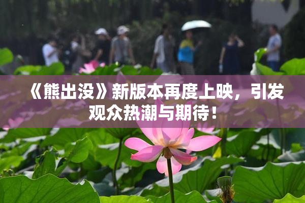 《熊出没》新版本再度上映，引发观众热潮与期待！