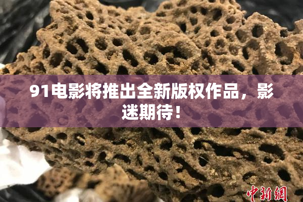 91电影将推出全新版权作品，影迷期待！