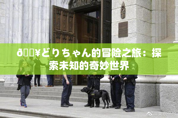 🔥どりちゃん的冒险之旅：探索未知的奇妙世界