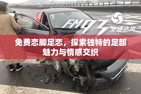免费恋脚足恋，探索独特的足部魅力与情感交织