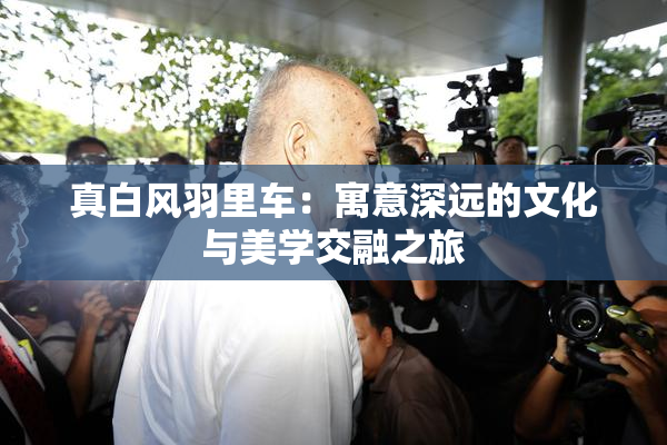真白风羽里车：寓意深远的文化与美学交融之旅