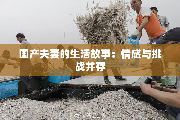 国产夫妻的生活故事：情感与挑战并存