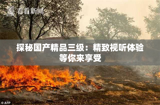 探秘国产精品三级：精致视听体验等你来享受
