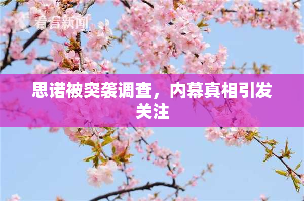 思诺被突袭调查，内幕真相引发关注