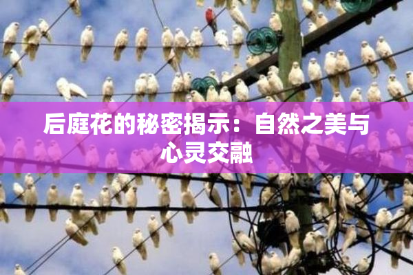 后庭花的秘密揭示：自然之美与心灵交融