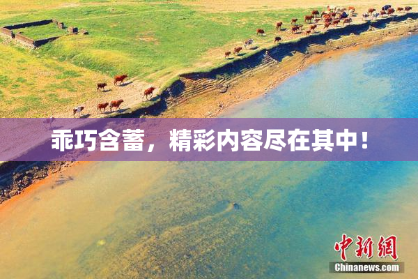 乖巧含蓄，精彩内容尽在其中！