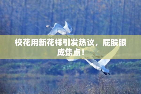 校花用新花样引发热议，屁股眼成焦点！
