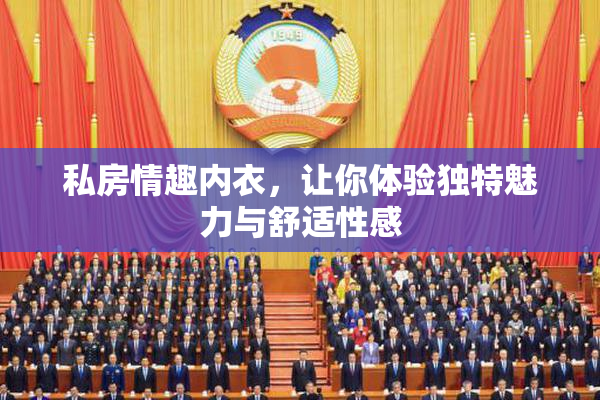 私房情趣内衣，让你体验独特魅力与舒适性感