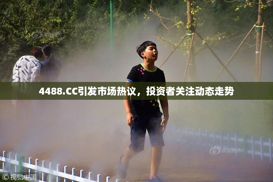 4488.CC引发市场热议，投资者关注动态走势