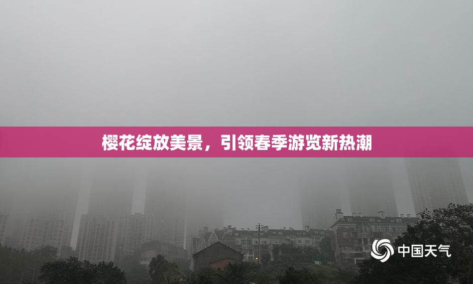 樱花绽放美景，引领春季游览新热潮